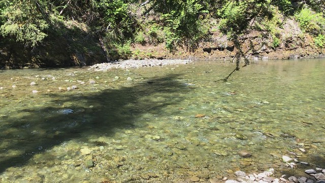 Ohanapecosh River at La Wis Wis Campground (video)