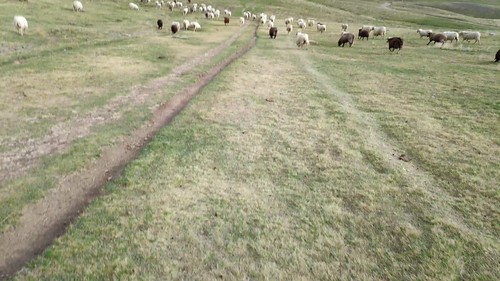 VID_20190906_181305