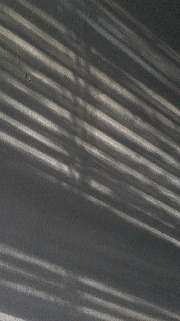 Late Afternoon Shadows on the Wall