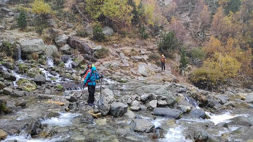 VID_20191103_090246