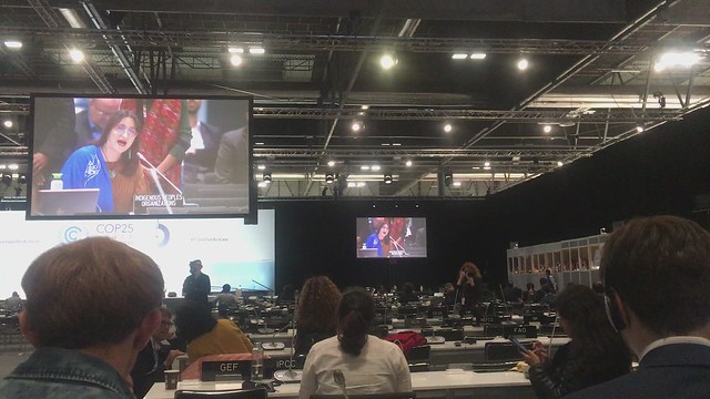 Video: the voice of indigenous people at COP25 - IMG_4608