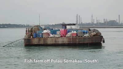 Singapore's largest fish farm, off Pulau Semakau (South)