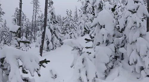 VID-20200125-WA0125