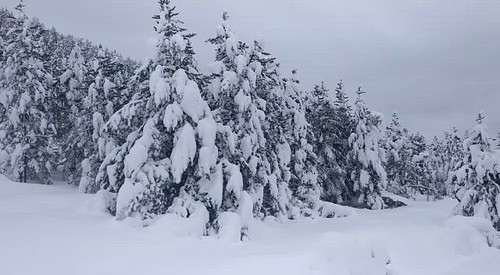 VID-20200125-WA0130