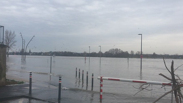 #Mondorf #river #Rhein #Hochwasser