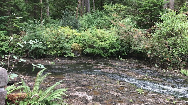 Silver Creek & South Falls in Silver Falls State Park (video)