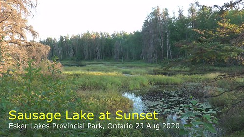 Sausage Lake at Sunset [1:52 mins], sausagelake eskerlakes eskerlakesprovincialpark temiscamingdistrict borealforest forest sunset summer sonyrx100vi ontario canada video landscape water august marsh wetland green