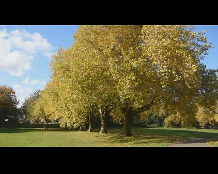 Autumn in Aston Hall & Park