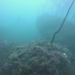 A Peek Underwater at Otter Rock