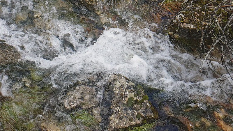 Surgencia activa del arroyo Valdistión - Cañón del Río Lobos
