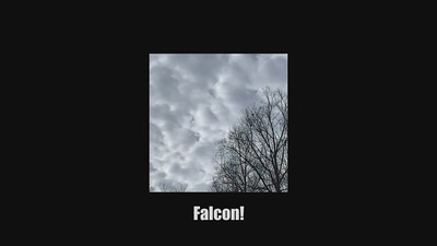 jetMocking | part III [2.17.21] Falcon! crescent