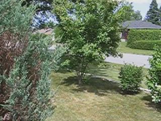 VIDEO: Front yard