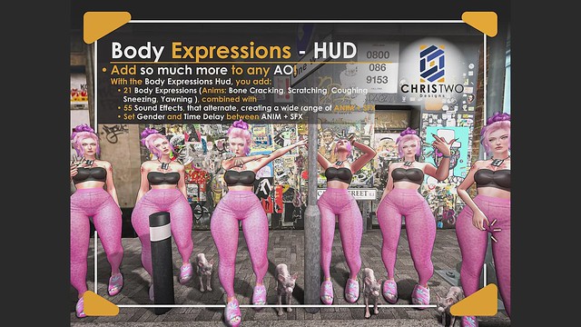 Body Expressions HUD - Video Tutorial - [Chris Two Designs]