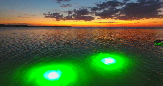 See Sea Green Light Heavy Dark Monsters At Bright Stunning Dusk Tampa Bay (SOOC) - IMRAN™