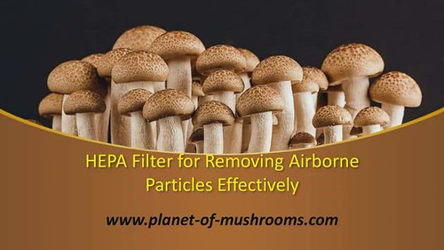 HEPA Filter for removing Airborne Particles effectively