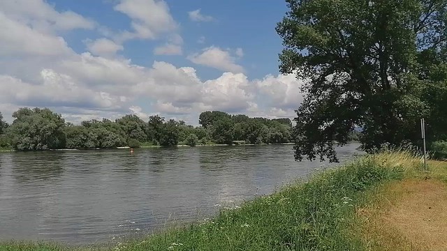 2021.06.22 An der Donau