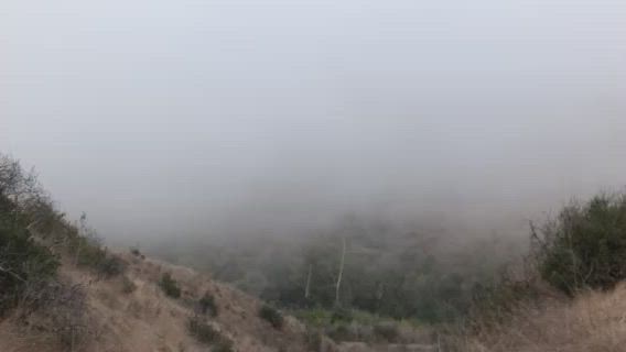 marine layer rolls in