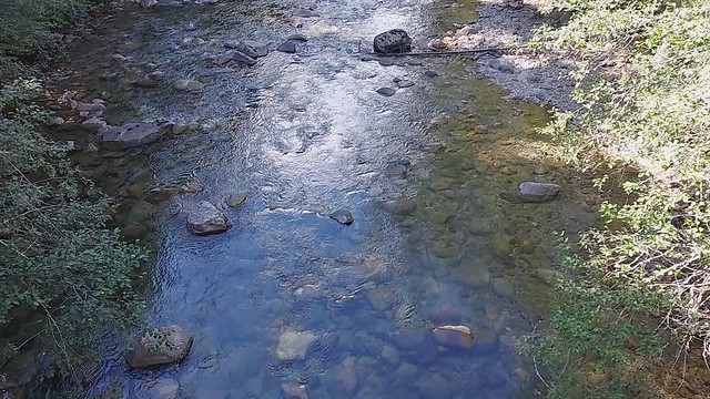Sauk River near Bedal campground, Mt. Baker-Snoqualmie National Forest. Video by Anne Vassar Sept. 13, 2021.