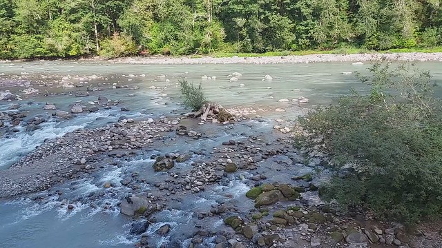 Sauk River at Clear Creek confluence, Mt. Baker-Snoqualmie National Forest. Video by Anne Vassar Sept. 13, 2021.