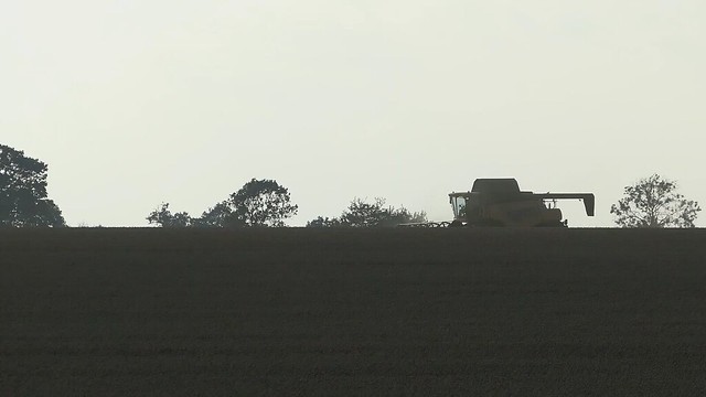 Combine Harvester & Tractors Passing in Dust Cloud 765  [VIDEO]