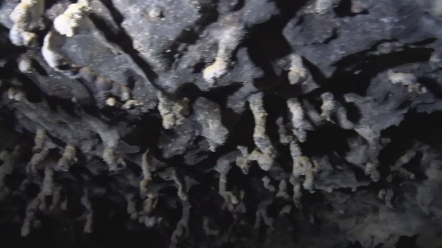 Estafilitos excéntricos (helictitas de lava) en un tubo lávico - Cueva de los Naturalistas, Lanzarote (Islas Canarias, España) - 01