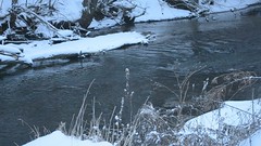 The creek in winter