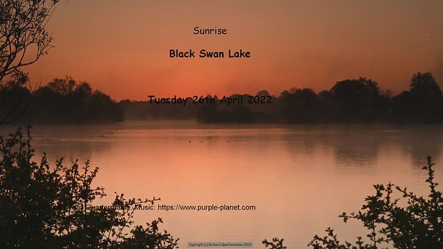 Sunrise at Black Swan Lake - Tuesday 26th April 2022 (56 Seconds Video)