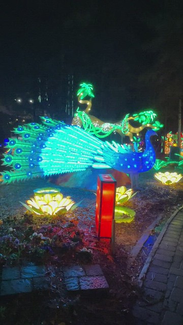 Chinese Lantern Festival, Cary, 2021-22