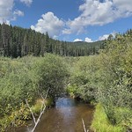 Short video West Fork of The Little Colorado River in the Apache Sitgreaves National Forest. Arizona. The altitude here is approx 9,000 feet or 2,800 meters. 

iPhone 13 PRO MAX.
