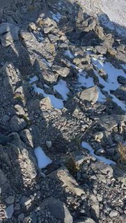VID-20221002-WA0116