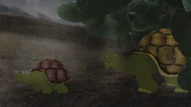 Neden kaplumbağalar birbirinden farklı