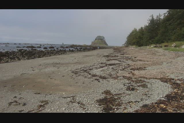 6129 Video of the shallow rocks just offshore near Ozette Island from the Cape Alava Campground at Olympic NP