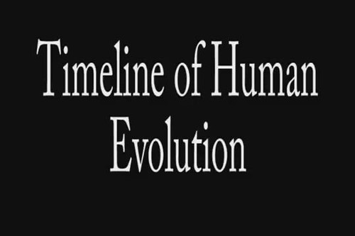 Insan evriminin gelişimi