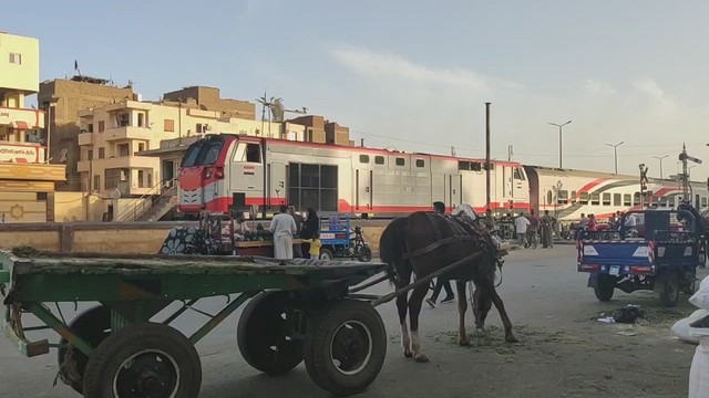 Video - Railroad Crossing - Luxor, Egypt