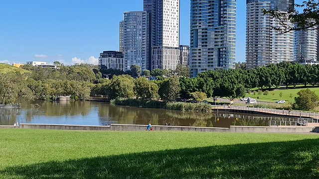 On a sunny autumn morning, picturesque Belvedere lake at Bicentennial Park wetlands with a variety of birds nesting there, Concord West, New South Wales, Australia. It is one of several wetlands in the area