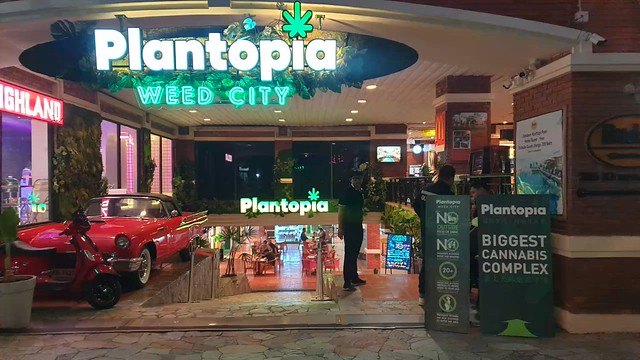 Weed City: Plantopia [Bangkok]