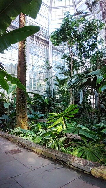A sit in the US Botanical Garden tropical conservatory