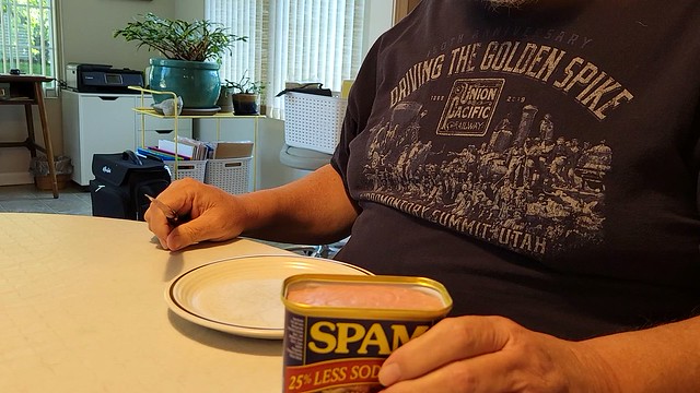 A video tutorial on removing Spam from the can