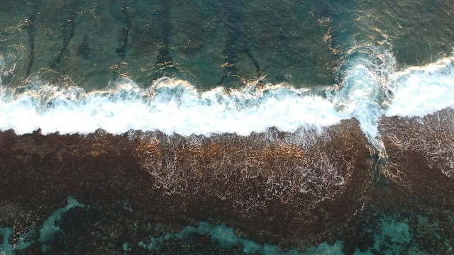 Une plage de Tahiti