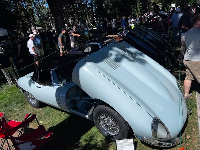 Forest Grove Concours 2023 (4)