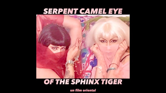 Serpent Camel Eye of the Sphinx Tiger | Main Trailer