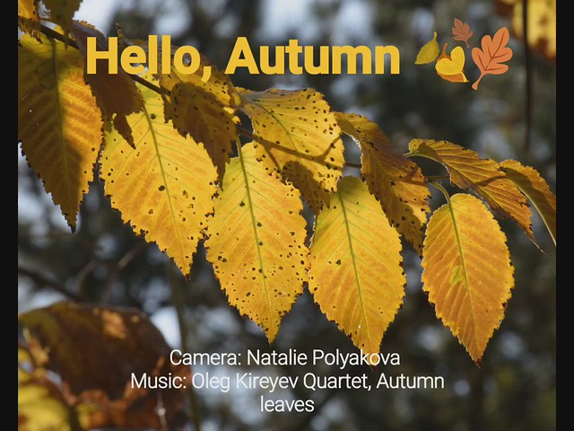 Hello, Autumn 🍂