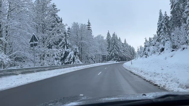 MINI + Winter + Black Forest 😎👍