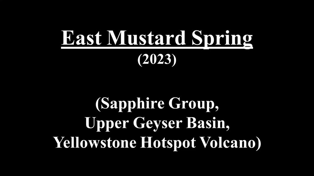 East Mustard Spring (2023)