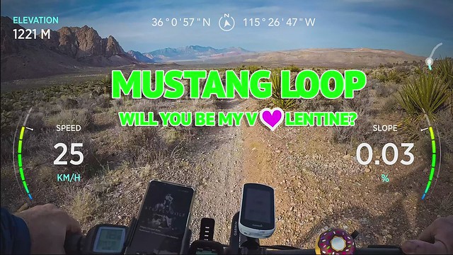 Mustang Loop - Will you be my Valentine? 💘😂