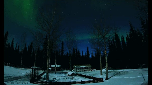 Lights over the Winter Garden