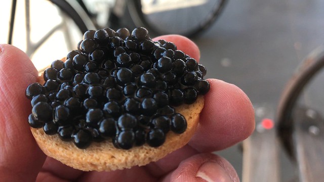 russian caviar coney island usa