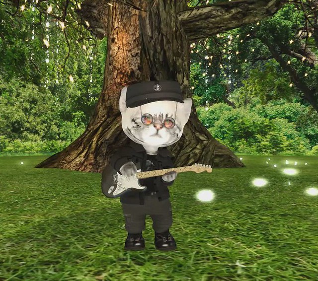 Second Life - Video: Dinkie cat playing guitar