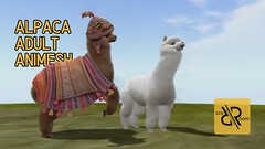 [Rezz Room] Alpaca Adult Animesh VIDEO PROM