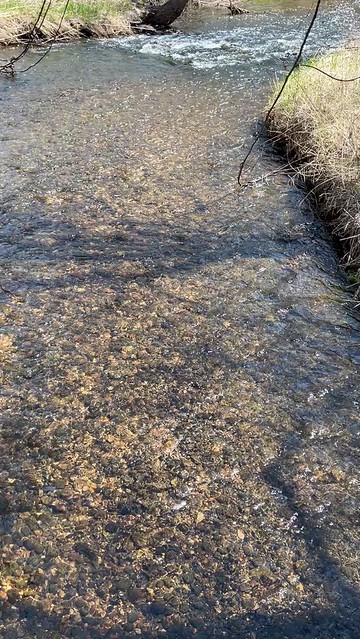 Spring along Nine Mile Creek in Bloomington Minnesota